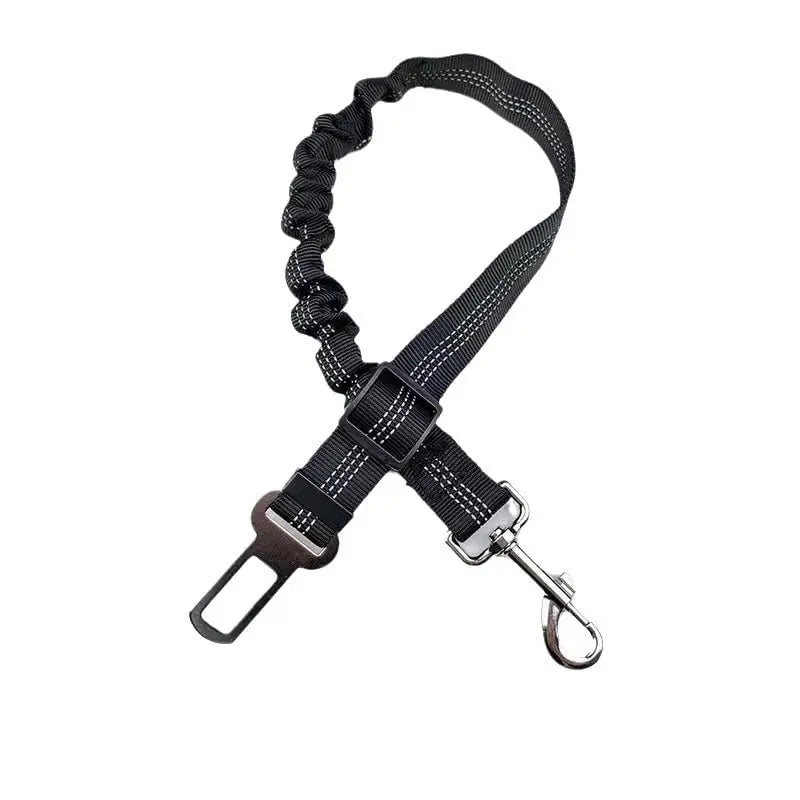 Pet Leash