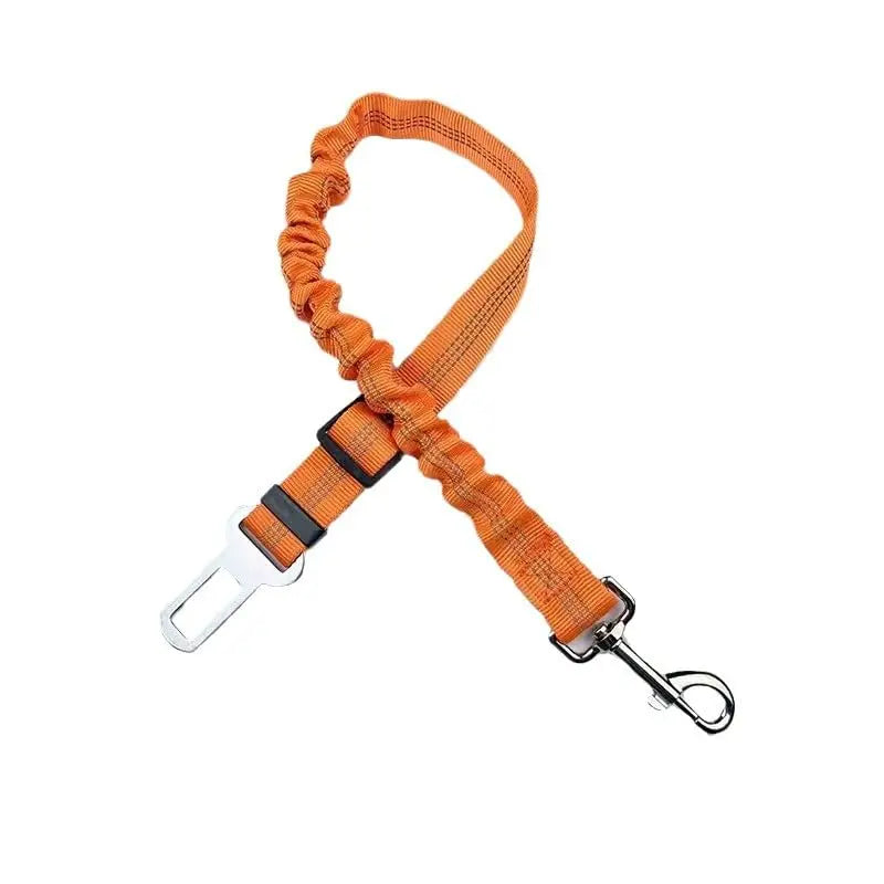 Pet Leash
