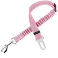Pet Leash