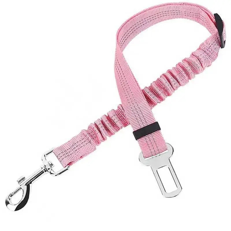 Pet Leash
