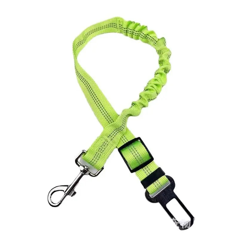 Pet Leash