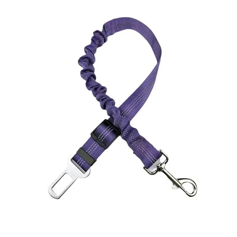Pet Leash