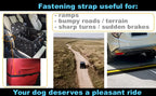 Waterproof Pet Dog Car Seat Booster Box and Basket with Seat Belt Restraint System